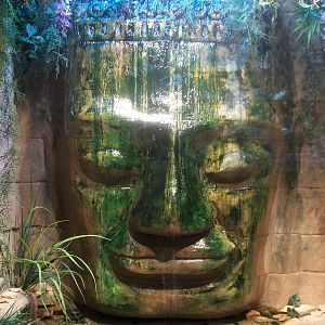 large stone head deity inside Reticulated Python Exhibit march 2012