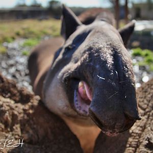 Who loves you, baby?