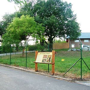 Cheetah Exhibit at Usti, 29/08/12