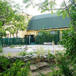 Addax Enclosure at Usti, 29/08/12