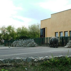 Giraffe/Rhino/Antelope House at Usti, 29/08/12