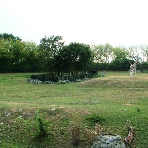 Giraffe/Rhino/Antelope House at Usti, 29/08/12