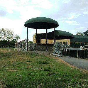 Giraffe/Rhino/Antelope House at Usti, 29/08/12