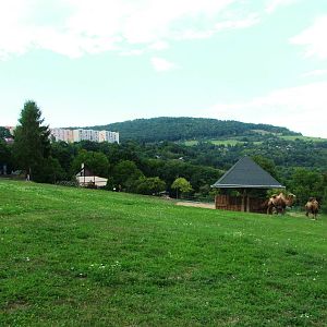 Hilltop Paddocks at Usti, 29/08/12