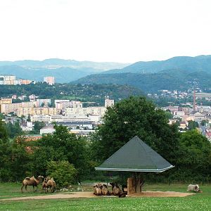 Hilltop Paddocks at Usti, 29/08/12
