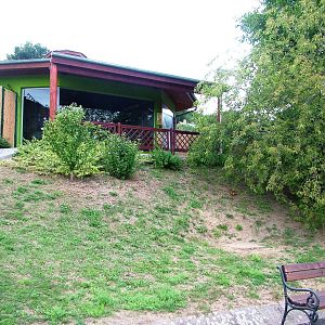 Cheetah Indoor Viewing at Usti, 29/08/12