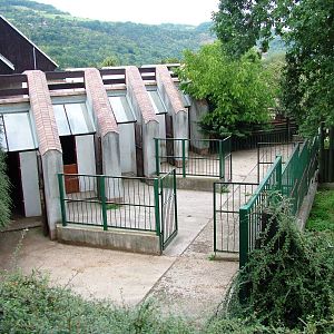 Wild Ass Yards at Usti, 29/08/12