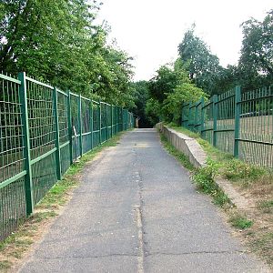 Paddock Viewing at Usti, 29/08/12