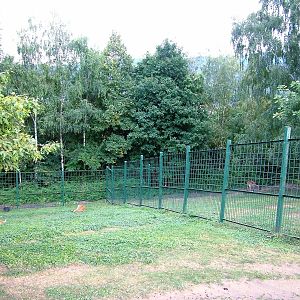 Lechwe Paddock at Usti, 29/08/12
