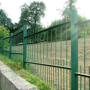 Zebra Paddock at Usti, 29/08/12