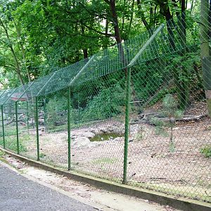 Wolverine Enclosure at Usti, 29/08/12