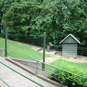 Muntjac Enclosure at Usti, 29/08/12