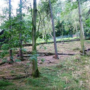 Serow Enclosure at Usti, 29/08/12