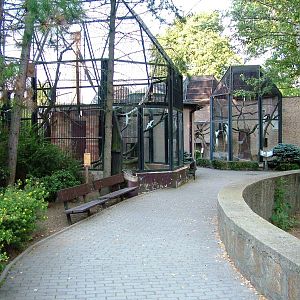 Small Primate Complex at Usti, 29/08/12