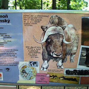 Signage Example at Liberec, 28/08/12