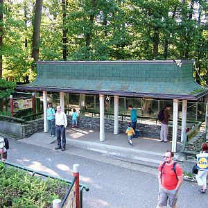 Takin Viewing at Liberec, 28/08/12