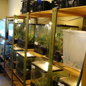 Terrariums on the back