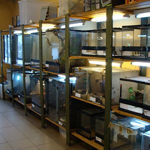 Terrariums on the back