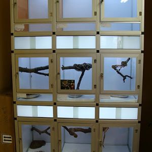 Terrariums on the back