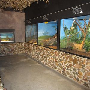 Reptile house interior