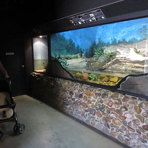 Reptile house interior