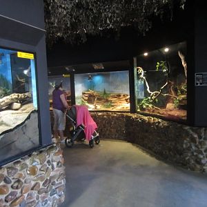 Reptile house interior