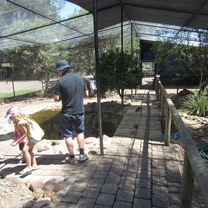 Interior of Walkthrough Aviary