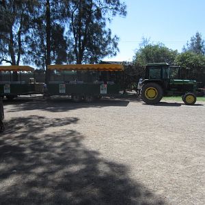 Tractor Train