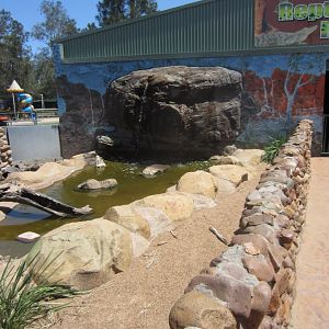 Turtle exhibit
