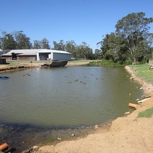 Waterfowl Pond