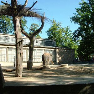 Elephant Paddock at Liberec, 28/08/12