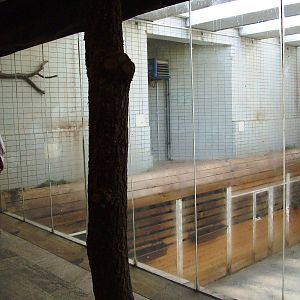 Giraffe House at Liberec, 28/08/12