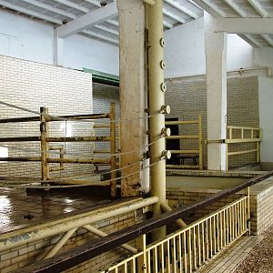 Elephant House at Liberec, 28/08/12