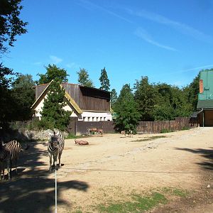 Zebra/Antelope Paddock at Liberec, 28/08/12