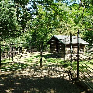 Goat Paddocks at Liberec, 28/08/12