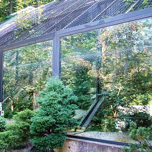 Lower Leopard Enclosures at Liberec, 28/08/12