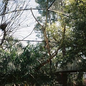 South American Walk-through Aviary