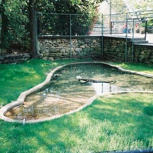 Current Alligator Exhibit