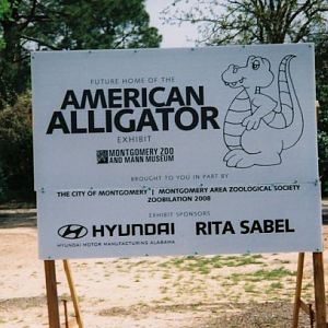 New Alligator Exhibit Sign