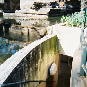 Siamang Island Keeper Access