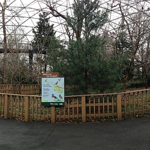Queens Zoo- Aviary
