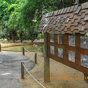 South American Aviary Signage