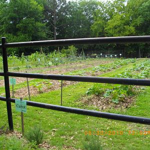 Enrichment Garden