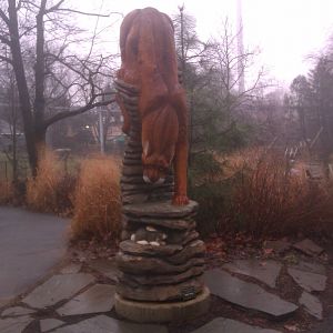 Mountain Lion wood Carving