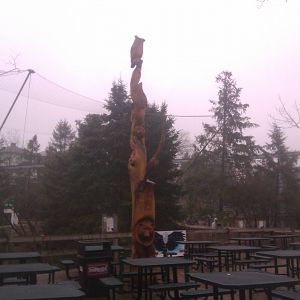 Pretty cool Wood Carving in front of the Bald Eagle exhibit