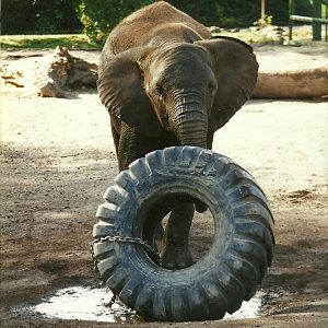 Kasama 28th October 1995