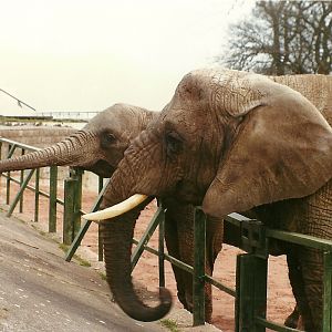 And another one 20th April 1996