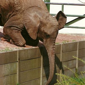 Kasama 20th April 1996