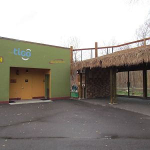 African Plains - Lion Viewing