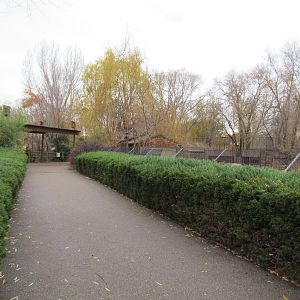 Walkway between Hyena and Warty Pigs